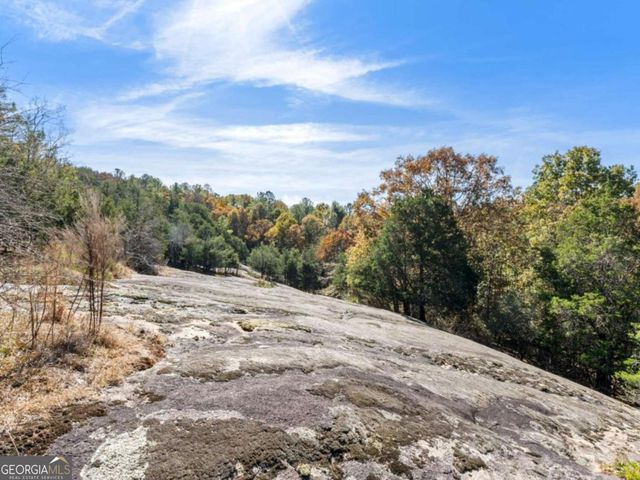 7790 Atlanta Newnan Road, Chattahoochee Hills, GA 30268