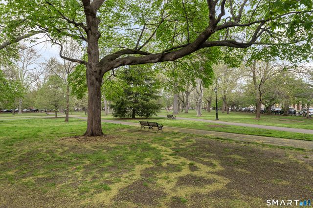 556 Chapel Street APT 3, New Haven, CT 06511