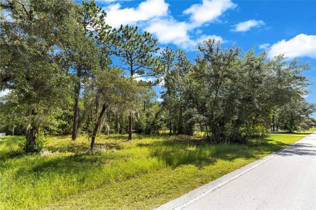 LOT 40 SW MARINE BLVD, Dunnellon, FL 34431