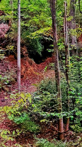 0 Shoal Ridge 3, Union Mills, NC 28167