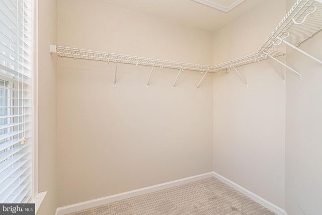 2937 TRUFFLE OAK PL, Woodbridge, VA 22191