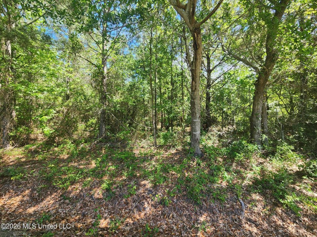 0 Lady Mary Ave Avenue, Pass Christian, MS 39571