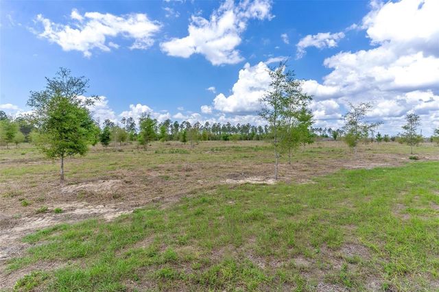 SE 170TH AVENUE, Weirsdale, FL 32195