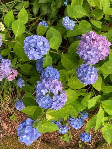 300 Falmouth Road APT 6B, Mashpee, MA 02649