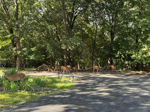 31038 Farrar Court, Afton, OK 74331