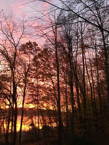 49 Old Beach Circle, Grantham, NH 03753