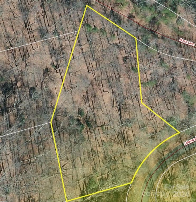 Lot 72 Lakewood Drive 72, Lake Lure, NC 28746