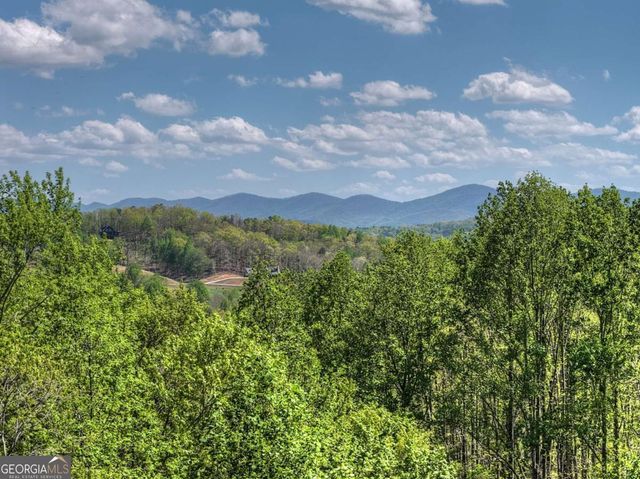 315 Blue Berry Ridge, Morganton, GA 30560