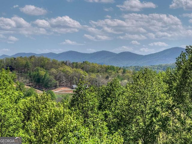 315 Blue Berry Ridge, Morganton, GA 30560