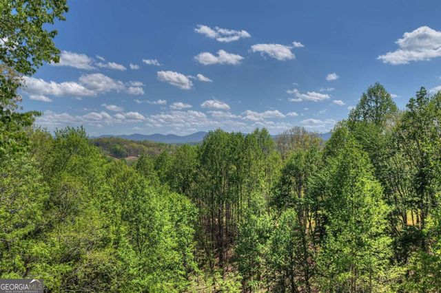 315 Blue Berry Ridge, Morganton, GA 30560