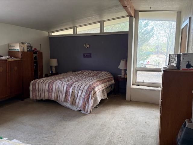 165 Wyndham Way, Grand Junction, CO 81507