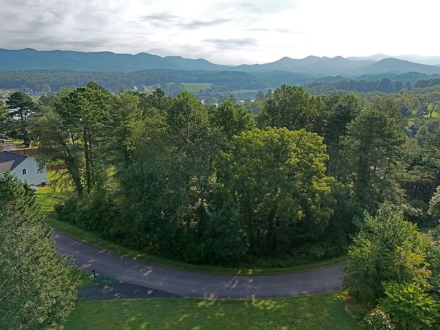 Lot 4 Butterfly Lane, Blairsville, GA 30512