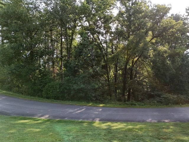 Lot 4 Butterfly Lane, Blairsville, GA 30512