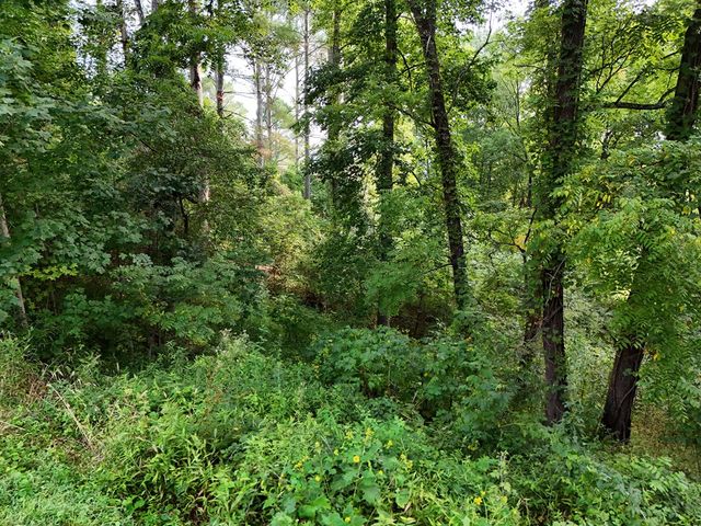 Lot 4 Butterfly Lane, Blairsville, GA 30512