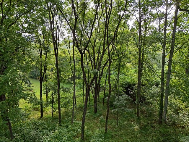 Lot 4 Butterfly Lane, Blairsville, GA 30512