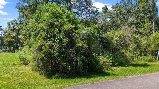 3816 Sam Houston, Willis, TX 77378