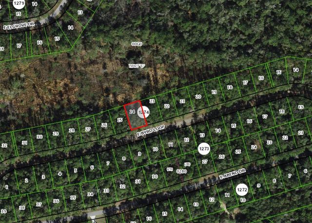 737 E BYRD LOOP, Dunnellon, FL 34434