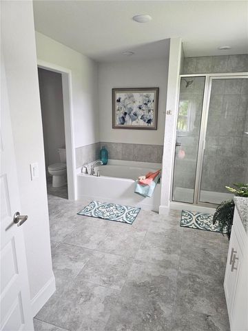 436 SW SILVER PALM DRIVE, Lake City, FL 32024