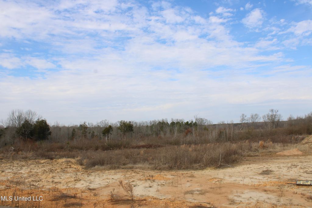12 Taylor Nichole Road, Byhalia, MS 38611 — photo 2