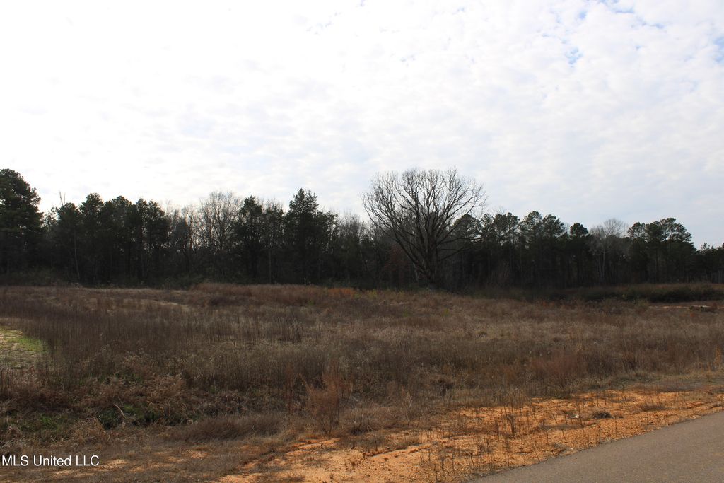 12 Taylor Nichole Road, Byhalia, MS 38611 — photo 3