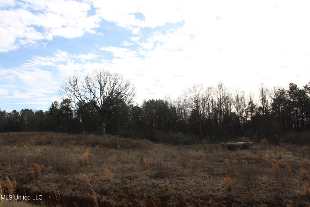 12 Taylor Nichole Road, Byhalia, MS 38611 — photo 4