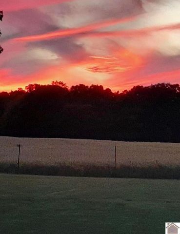 10256 E State Route 94, Murray, KY 42071