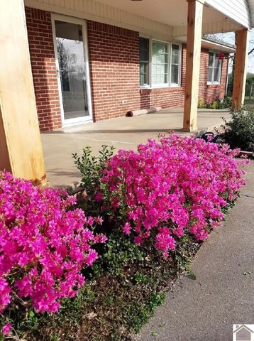 10256 E State Route 94, Murray, KY 42071