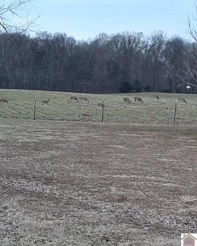 10256 E State Route 94, Murray, KY 42071