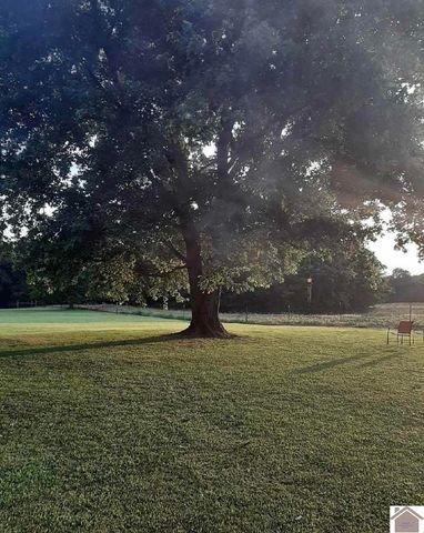 10256 E State Route 94, Murray, KY 42071