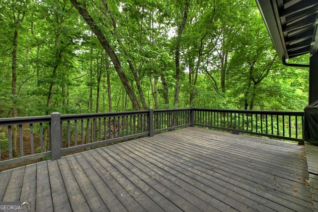 115 New River Estates, Mineral Bluff, GA 30559