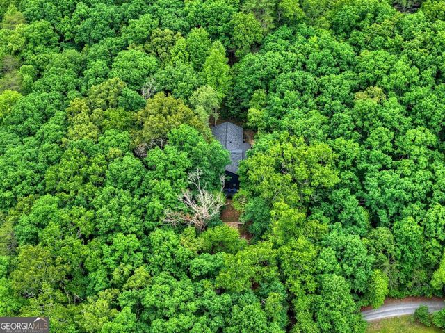 115 New River Estates, Mineral Bluff, GA 30559