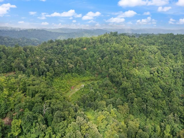 0 Hall Branch Road, Topmost, KY 41862
