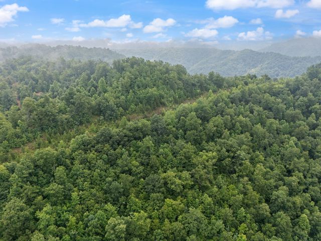 0 Hall Branch Road, Topmost, KY 41862