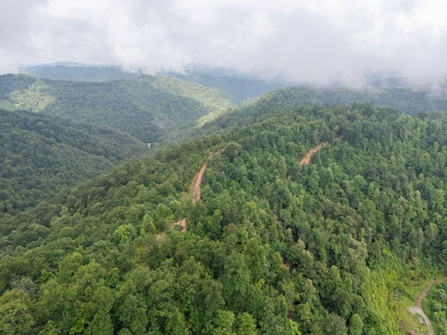 0 Hall Branch Road, Topmost, KY 41862