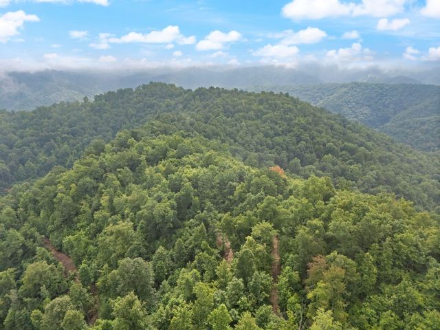 0 Hall Branch Road, Topmost, KY 41862