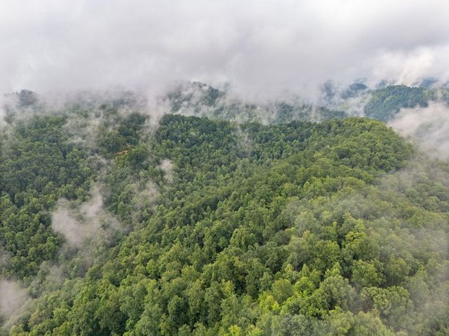 0 Hall Branch Road, Topmost, KY 41862
