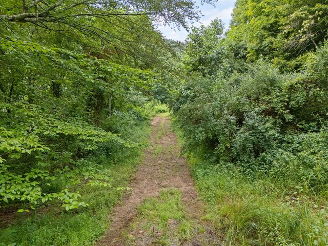 0 Hall Branch Road, Topmost, KY 41862