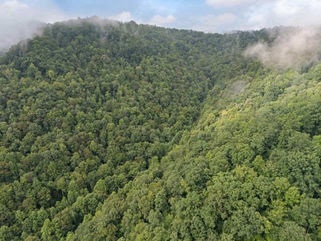 0 Hall Branch Road, Topmost, KY 41862