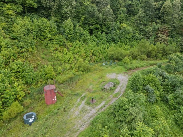 0 Hall Branch Road, Topmost, KY 41862