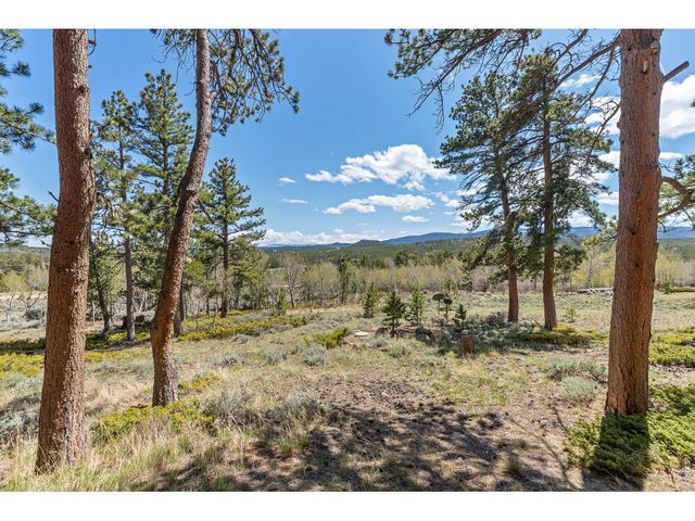 24 Sarsi Ct, Red Feather Lakes, CO 80545