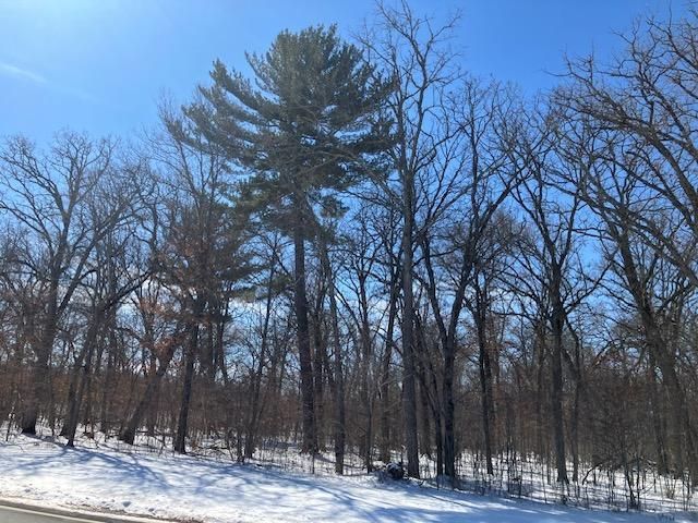 Lot 2 Sunrise Road, Sunrise Twp, MN 55032