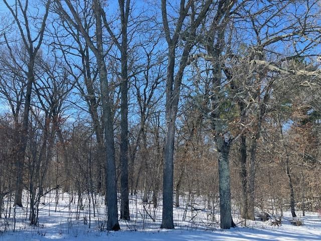 Lot 2 Sunrise Road, Sunrise Twp, MN 55032