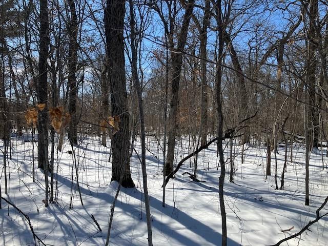 Lot 2 Sunrise Road, Sunrise Twp, MN 55032