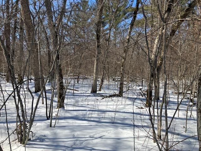 Lot 2 Sunrise Road, Sunrise Twp, MN 55032