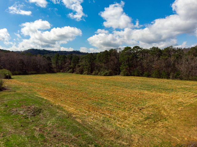 1321 Sand Mountain Road, Ocoee, TN 37361