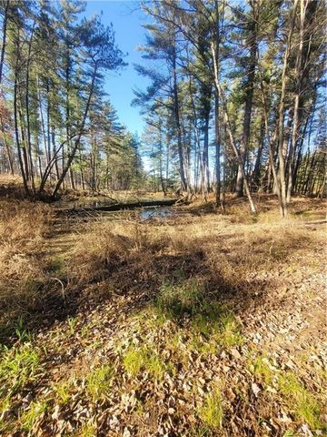 W10362 Lower Lake Drive, Merrillan, WI 54754