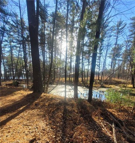 W10362 Lower Lake Drive, Merrillan, WI 54754