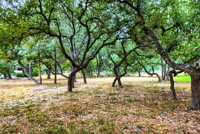 532 Farm Hill DR, Georgetown, TX 78633