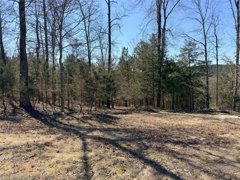 4012 PAULETTE Drive, Monroe, GA 30656