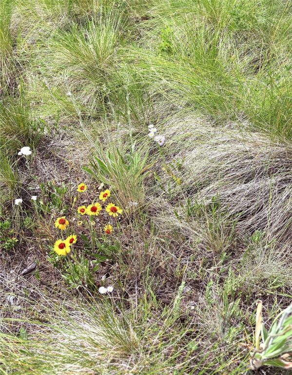 Homesite 25 Stone Horse Drive, Polson, MT 59860 photo 7